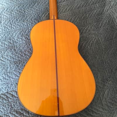 Graciliano Perez  blanca 2019 image 8