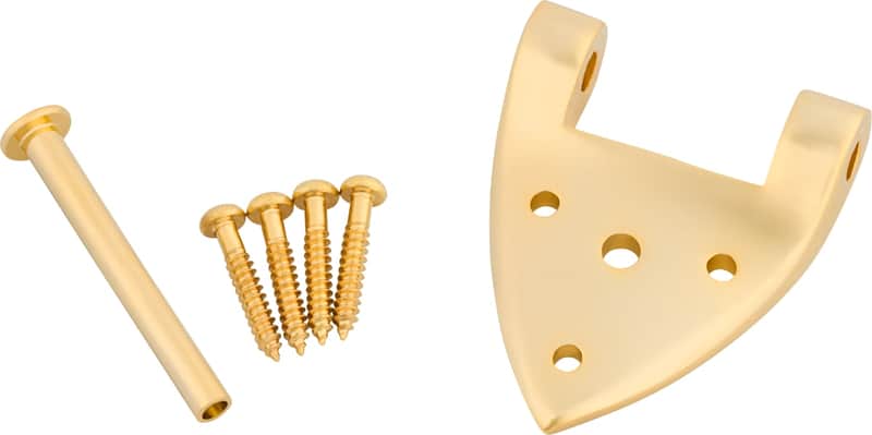 Bigsby B3/6C Gretsch Hinge with Hinge Pin and Screws, Gold image 1