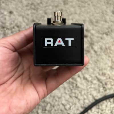 ProCo Lil Rat 2021 - Black image 2
