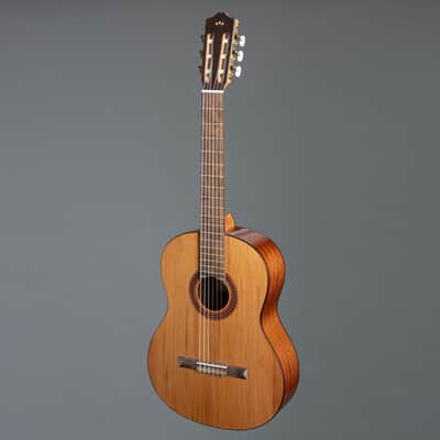 Cordoba C5 CD - 4/4 classical guitar image 10
