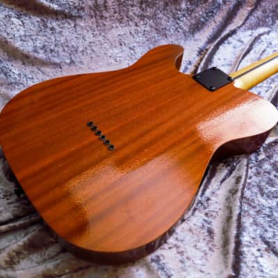 GB Liuteria Traditional Tele semi hollow rosewood and purple resin image 19