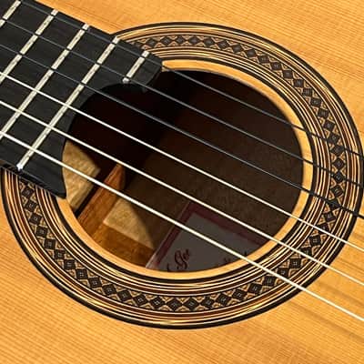 2000 Michael Gee Acoustic Flamenco Guitar - Professional Grade with Case image 13