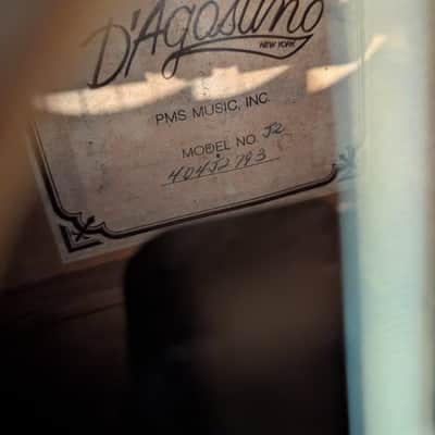 D'Agostino J2 Jumbo Acoustic Electric Guitar image 3
