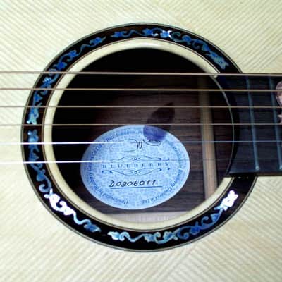 Blueberry Handmade Acoustic Guitar Dreadnought Taurus (Zodiac) built to order image 7