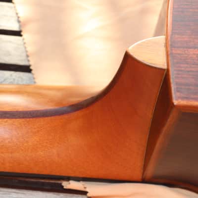 Lowden S25j 2020 - Nylon image 18