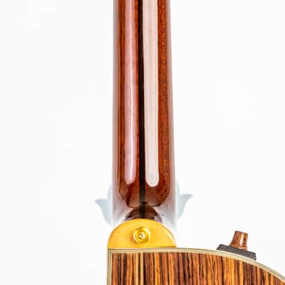 Daion Year Series '81 Gazelle / 12 String Electric Acoustic image 9