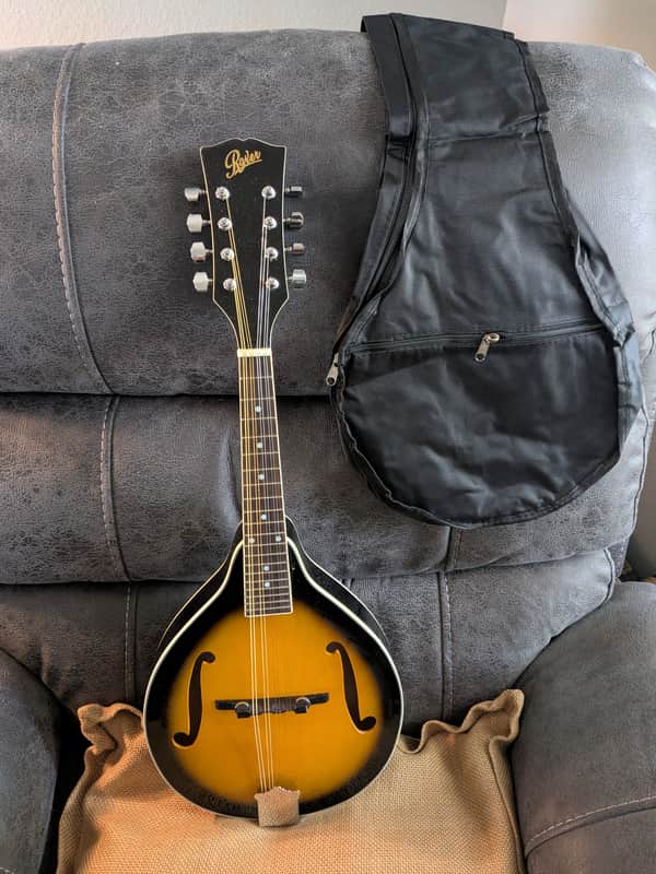 Rover A Style Mandolin w/ New Gig Bag image 1