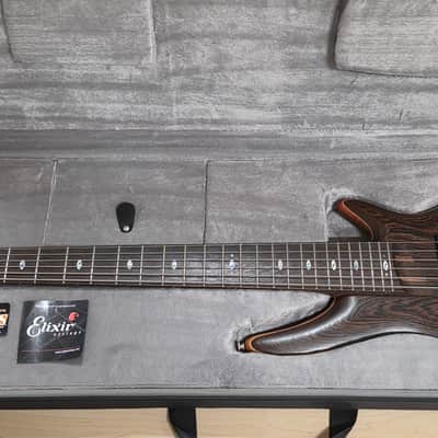 Ibanez SR5006E OL TEAM J. CRAFT Prestige Case Queen 2009-2010 Custom USA Bartolini SR5006 SR 5006 6 Six String Bass Guitar image 2
