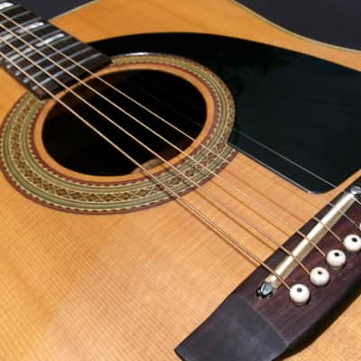 Pearl Dreadnought Acoustic Guitar made by Hayashi Gakki CIRCA 1977 image 20