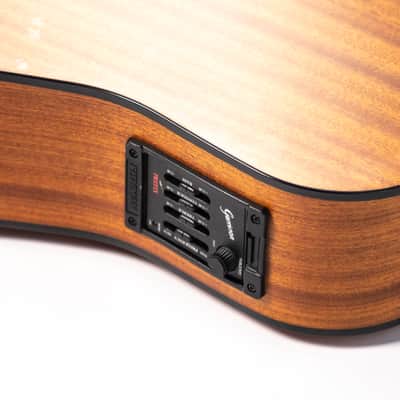 Garrison Acoustic Model G41-E Owned by Nils Lofgren image 15