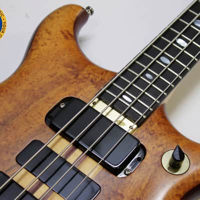 Alembic Series 1 - 1981 **Includes Original Power Supply** image 12