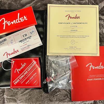 Fender American Ultra II Telecaster Maple Fingerboard Avalanche (165) image 8