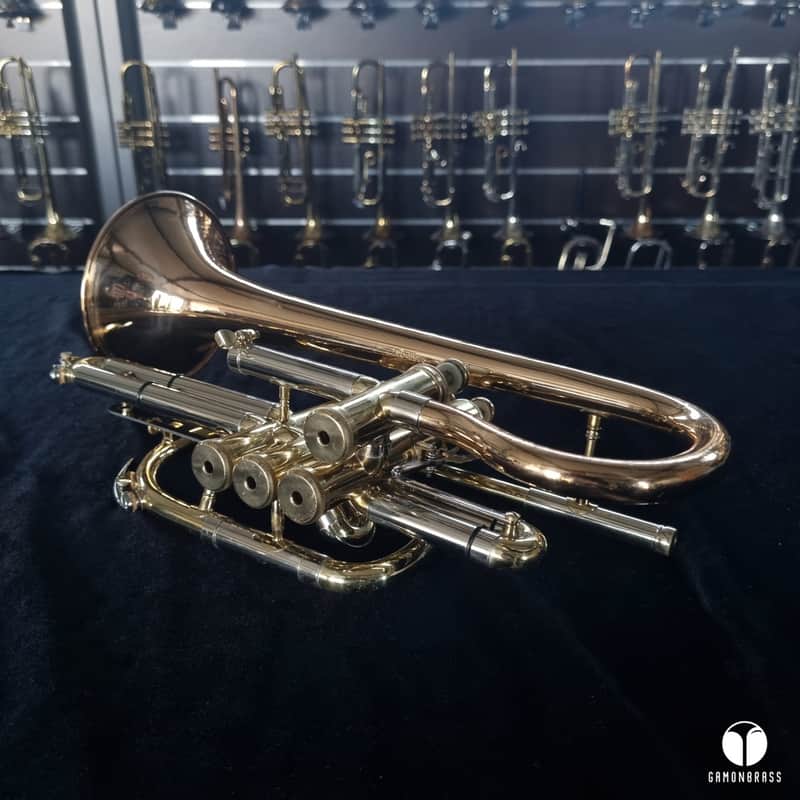 1 of 100 ever made ! Besson SOVEREIGN ECHO 928E cornet GAMONBRASS