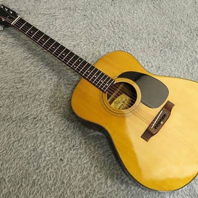 1971 made Vintage Tokai Humming Bird 96F Acoustic Guitar Made in Japan image 25
