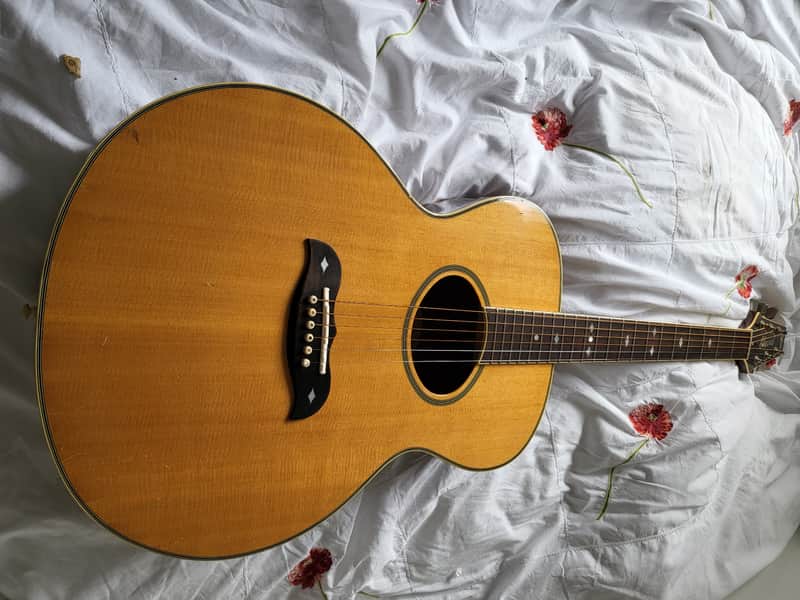 Aria FE60 Elecord 1980s Natural MIJ | Reverb
