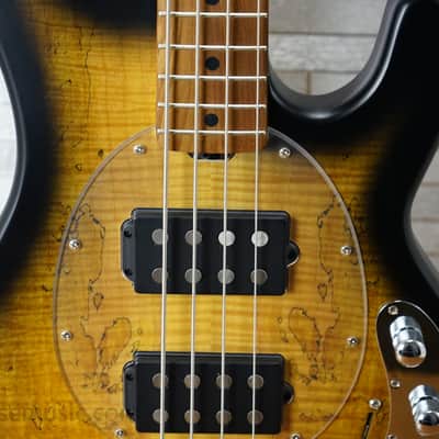 Sterling StingRay Ray34HHSM - Natural Burst Satin image 5