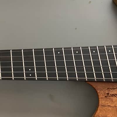 Strandberg Boden Washburn Custom Shop USA image 7