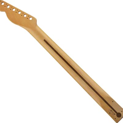 Fender American Professional II Telecaster Deep C Maple Neck, Maple Fingerboard image 2