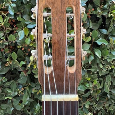 Casa Ricardo Guitarra tipo Valencia 1975 - Vintage- Good Condition image 6