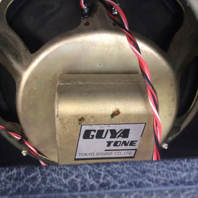 Guyatone GA 830 retubed image 7