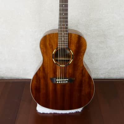 Washburn WL012SE-0 Acoustic/Electric #CC201113216 w/HSC USED image 2