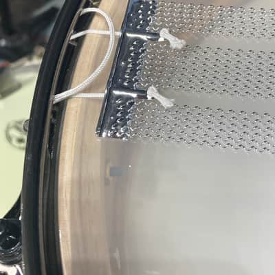 Noble & Cooley - 3.875x14" Special Edition SS-SASSAFRAS Model Snare Drum 2025 - Lacquer over SE Wood image 22