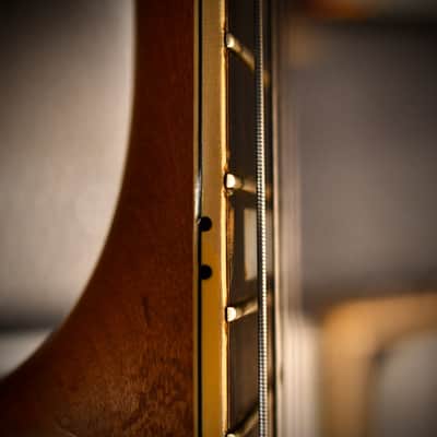 Fender D'Aquisto Elite Natural 1984 image 15