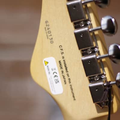 FGN Iliad JIL2-DU-EW2-R - Koa Natural Burst image 13