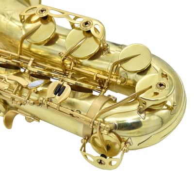 L.A. Ripamonti 5040VFRNAT-VI Sax Tenore image 3