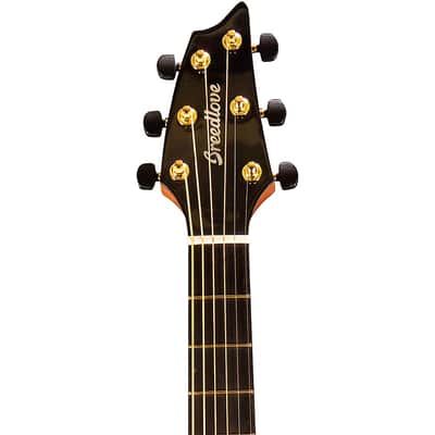 Breedlove Congo Figured Sapele Concert CE Acoustic-Electric Guitar Regular Natural image 5