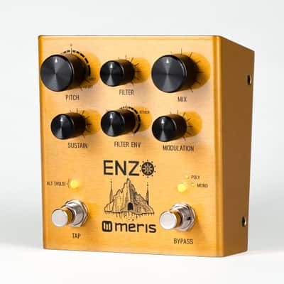 Meris  Enzo (Meris Official) image 1