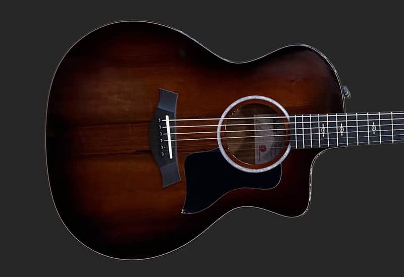Taylor 224ce-K DLX image 1