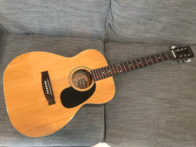 1973 El Degas F170 000-sized guitar, ready to go, video! image 1