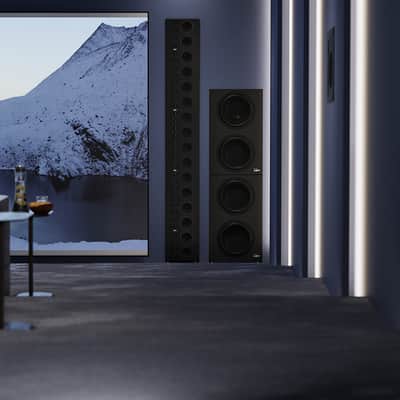 LYNGDORF BW-20 - Passive Boundary Woofer - NEW! image 6