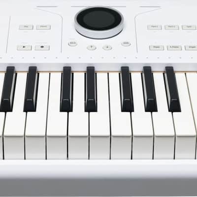 Arturia AstroLab 88-Key Stage Keyboard, White image 4