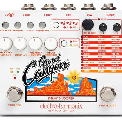 Electro Harmonix Grand Canyon Delay & Looper Pedal image 1