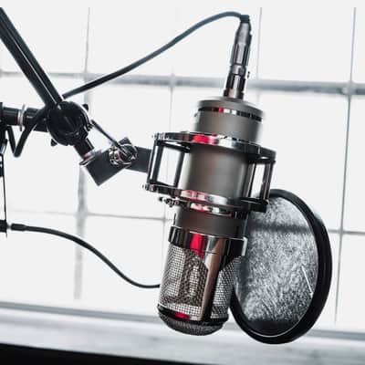 Lauten Audio Eden LT-386 Large Diaphragm Multipattern Tube Condenser Microphone 2010s - Champagne image 5