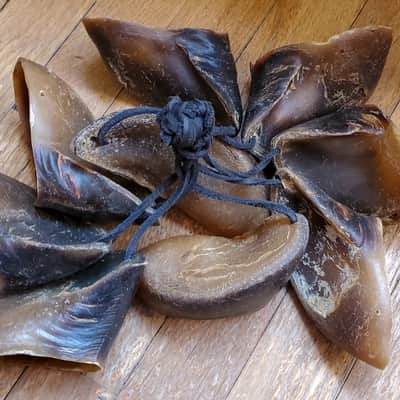 Hoof Rattles Set of 2 image 1