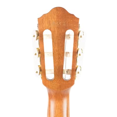 Ibanez AEG10NII-NT-3R-02 Owned by Kiko Loureiro | Reverb