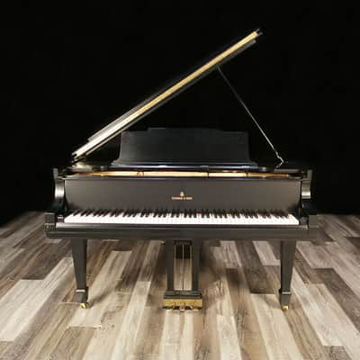 1919 Steinway Grand, Model M - Ebony image 3