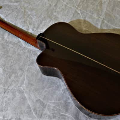 Kathy Wingert Model EVC - (Brazilian RW) image 13