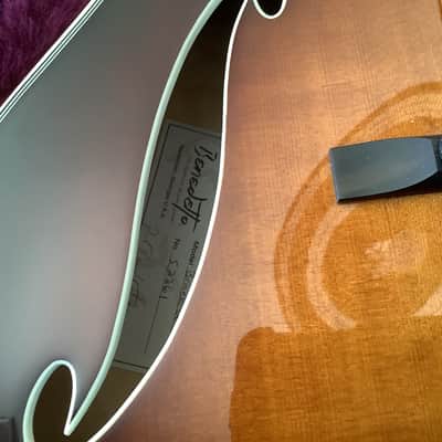 Benedetto Bravo Deluxe 2015 - Opulent brown image 9