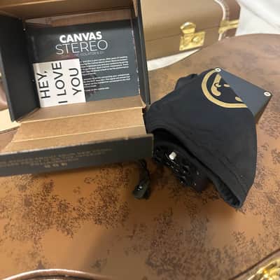 Walrus Audio Canvas Stereo Dual Line Isolator Direct Box 2022 - Present - Black w/ Rainbow Graphic image 4