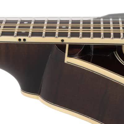 Used Northfield NFMSP-A4 Mandolin Sunburst 2023 image 6