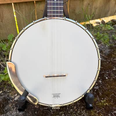 Recording King Banjo RK-025 image 2