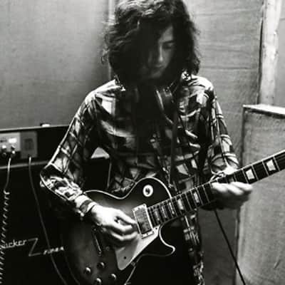 Vox Long Tom Echo Jimmy page Spec 1960s image 2