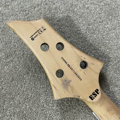ESP LTD 4 String Bass F-50 Maple Neck, Rosewood Fingerboard 24 Frets image 4