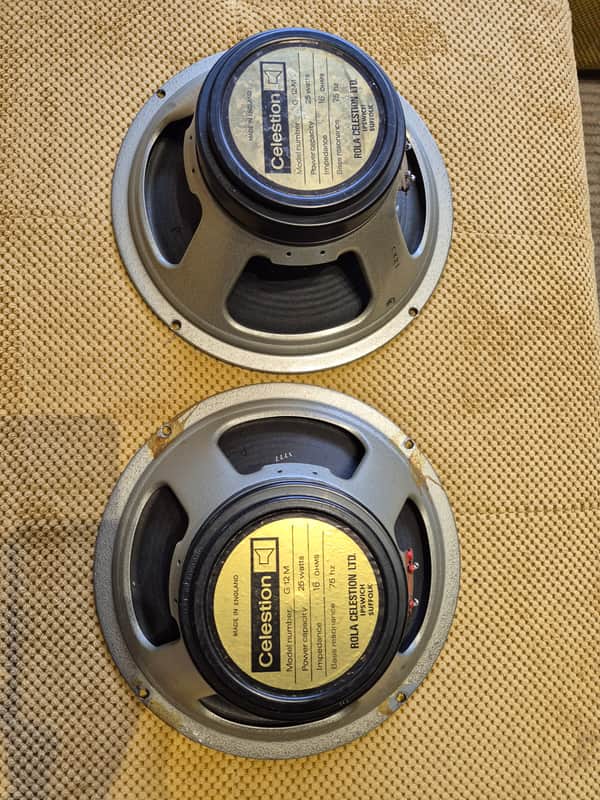 Celestion Blackback G 12M Early-70s / 75Hz-16 Ohm - 2 speakers image 1