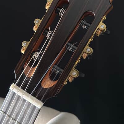 Keisuke Fujii Jazz Nylon with Carlos VIP-DM System image 13