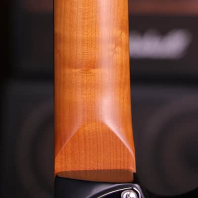 Dhatarattha DST HSS Black – Roasted Maple Neck, Stainless Steel Frets image 10